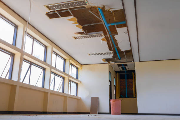Best Water damage restoration process  in Tooele, UT