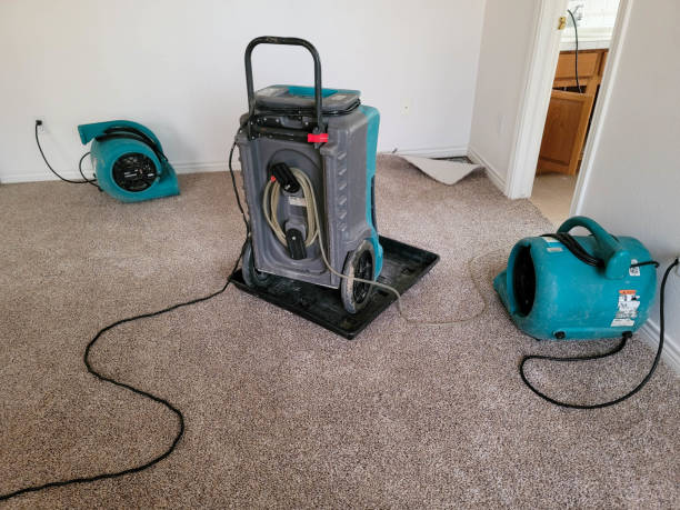  Tooele, UT Water damage restoration Pros