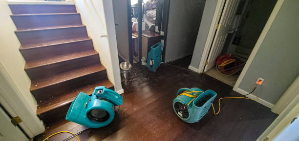 Best Basement water damage restoration  in Tooele, UT