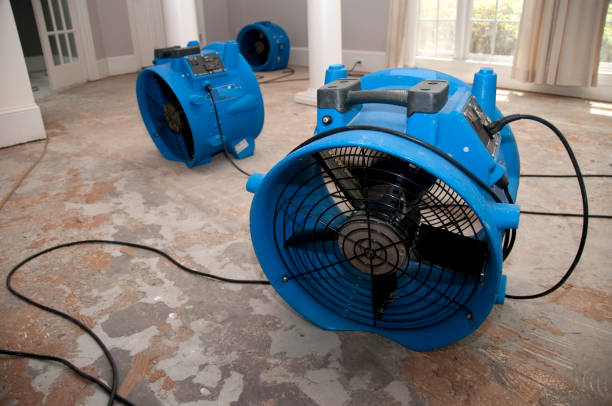 Best Carpet water damage restoration  in Tooele, UT