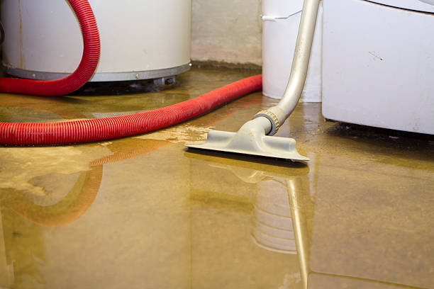 Best Water damage repair service  in Tooele, UT