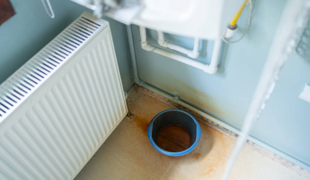 Best Ceiling water damage repair  in Tooele, UT