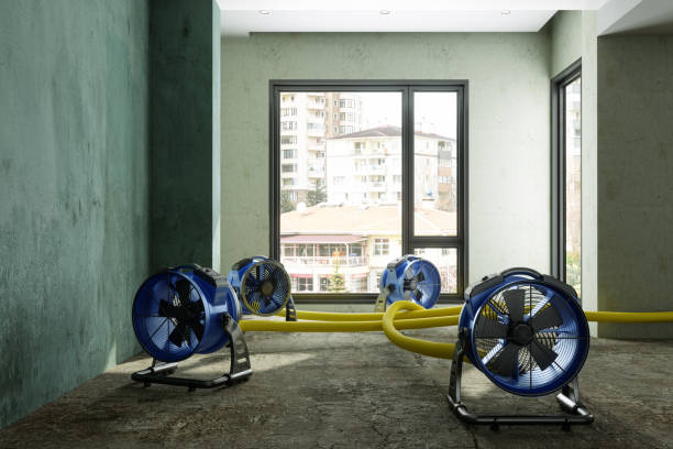 Best Professional water damage repair  in Tooele, UT